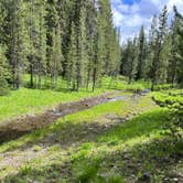 Review photo of East Fork on Cream Creek by Max , June 20, 2023