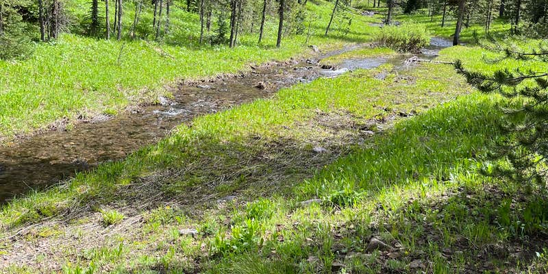 Camper submitted image from East Fork on Cream Creek