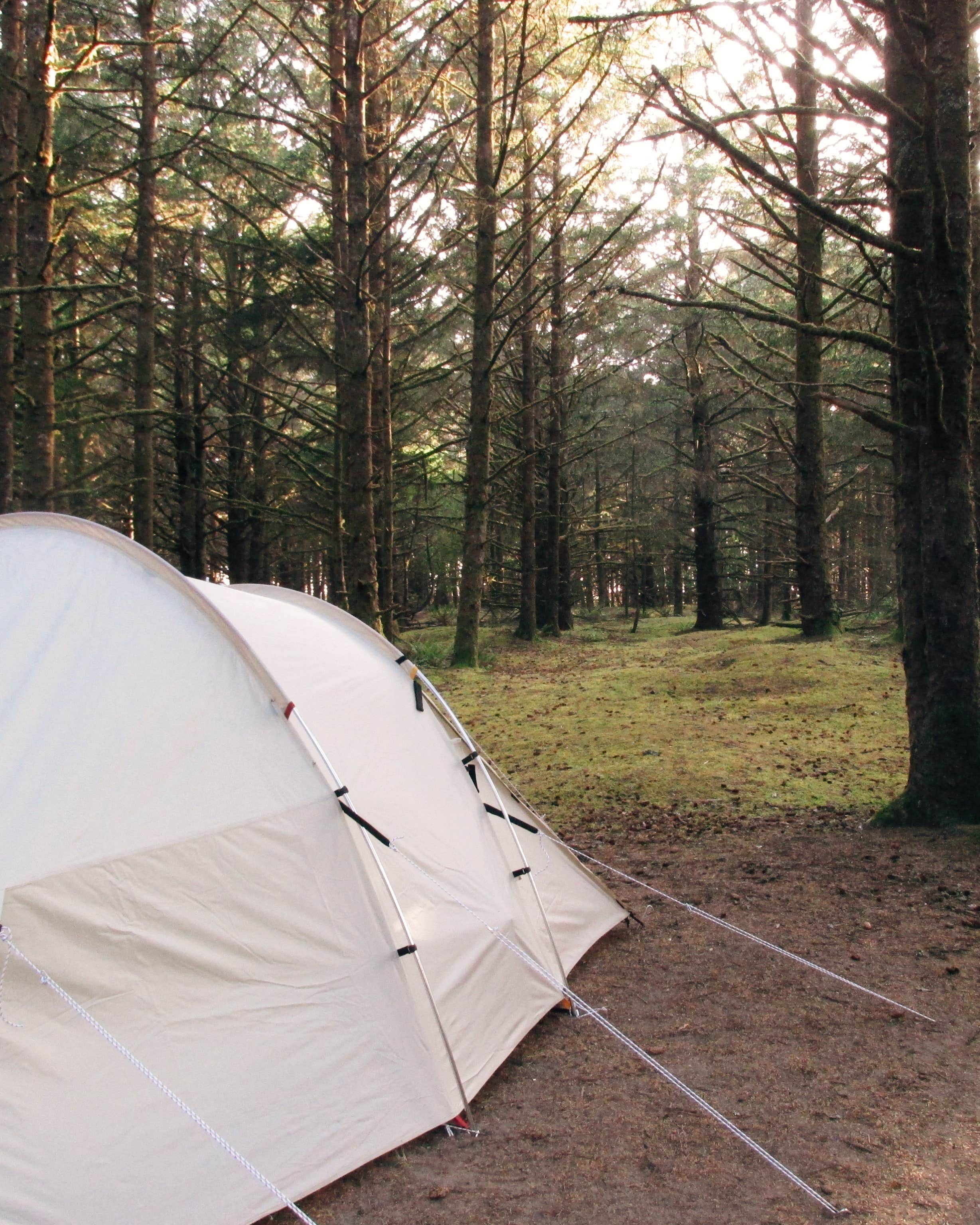 Joelle H.'s photo at Cape Disappointment State Park Campground near Ocean Park, WA