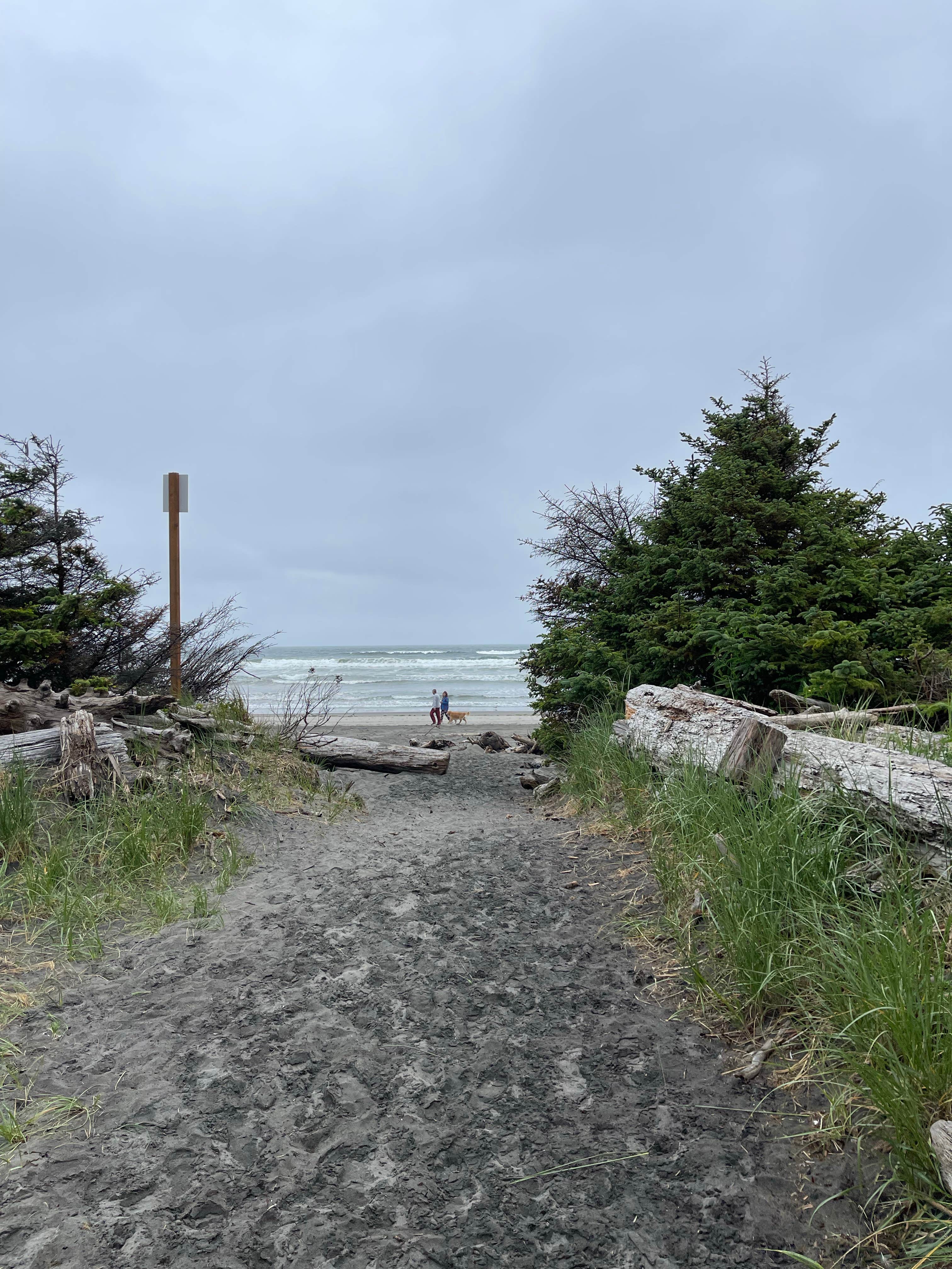 Joelle H.'s photo of camping with pets at Cape Disappointment State Park Campground in Washington