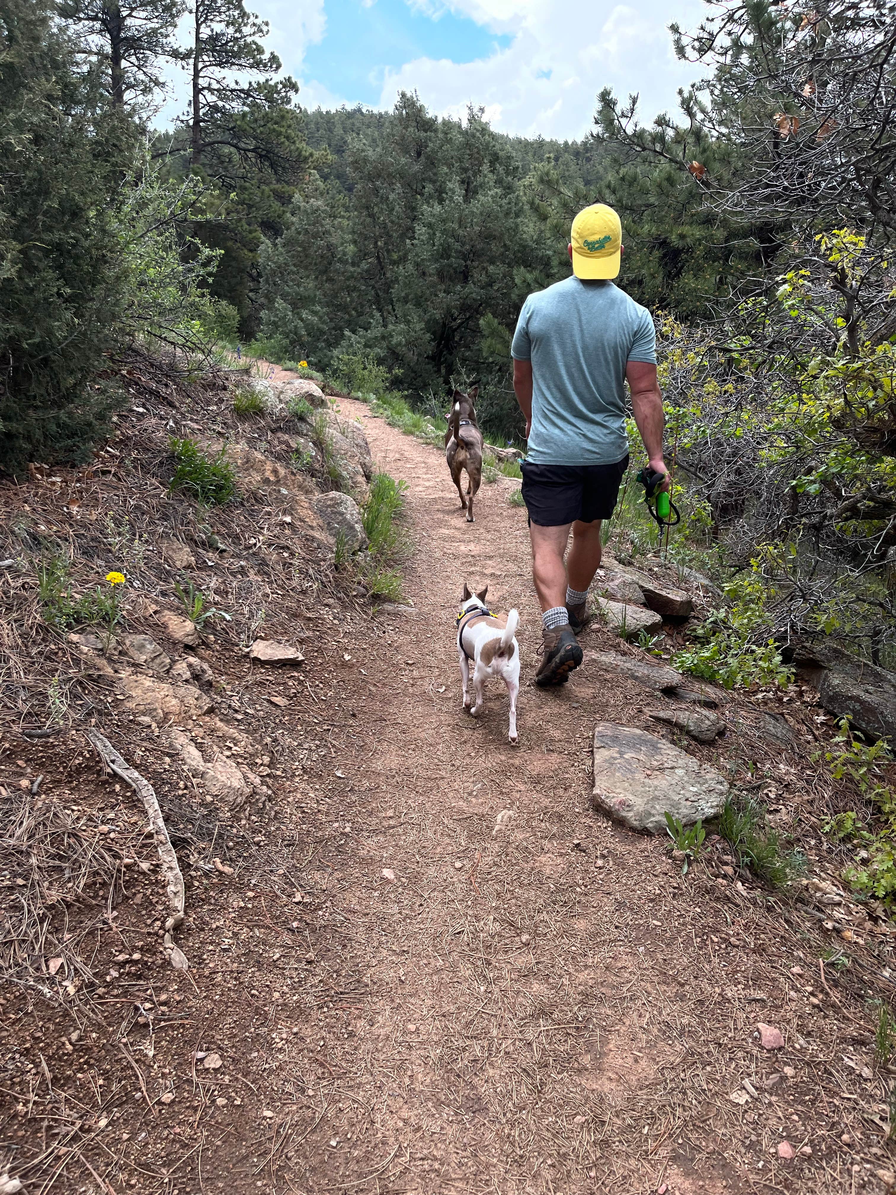 Jinho T.'s photo of camping with pets at Mountain Park near Livermore, CO