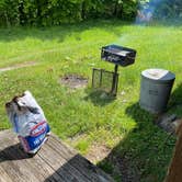 Review photo of Blue Springs Gap Cabin by jane , June 20, 2023