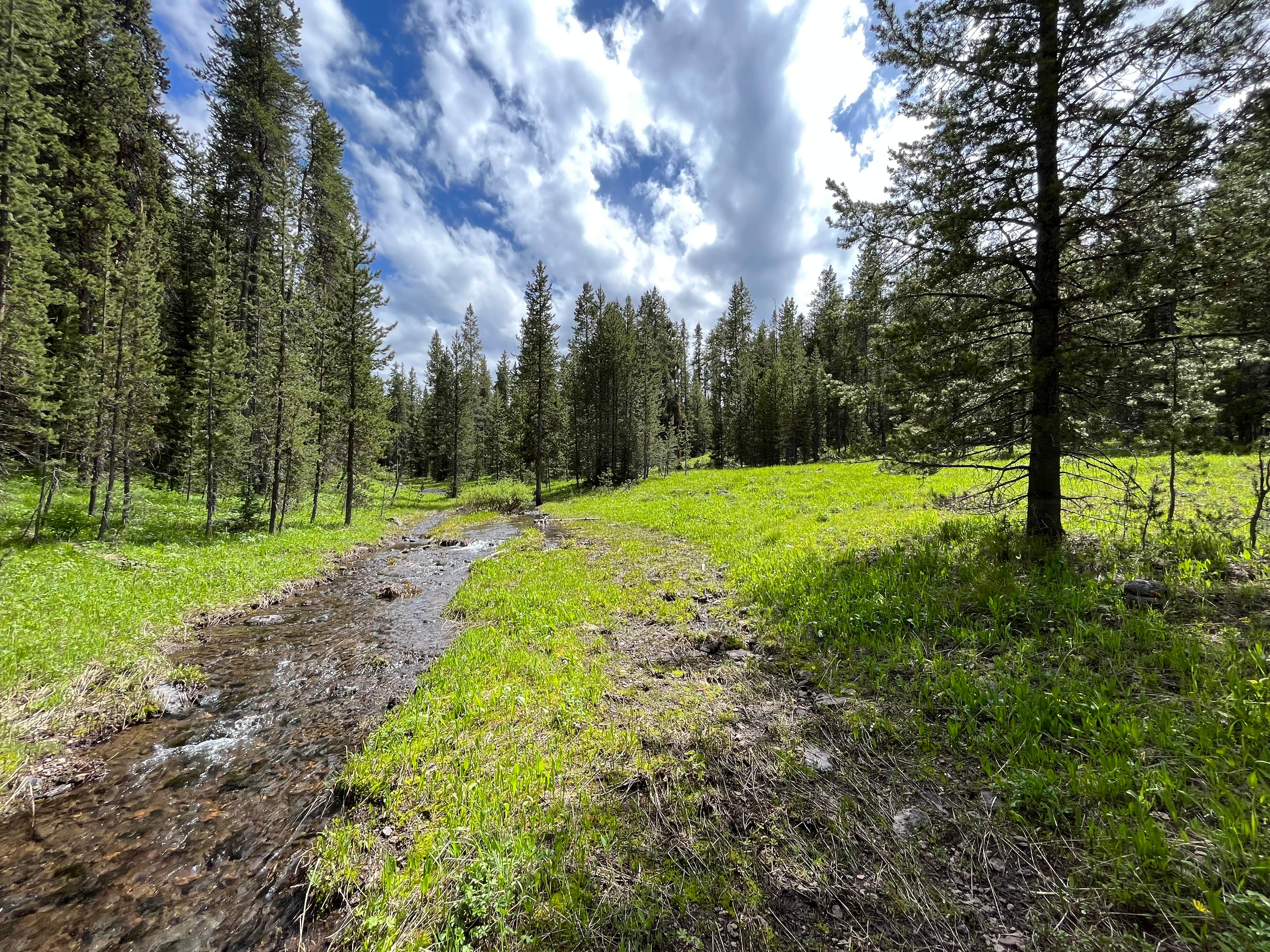 Camper-submitted photo at East Fork on Cream Creek near Island Park, ID