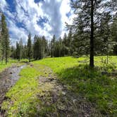 Review photo of East Fork on Cream Creek by Max , June 20, 2023