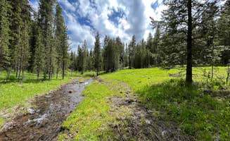 Max's photo of a dispersed camping area at East Fork on Cream Creek near Macks Inn, ID