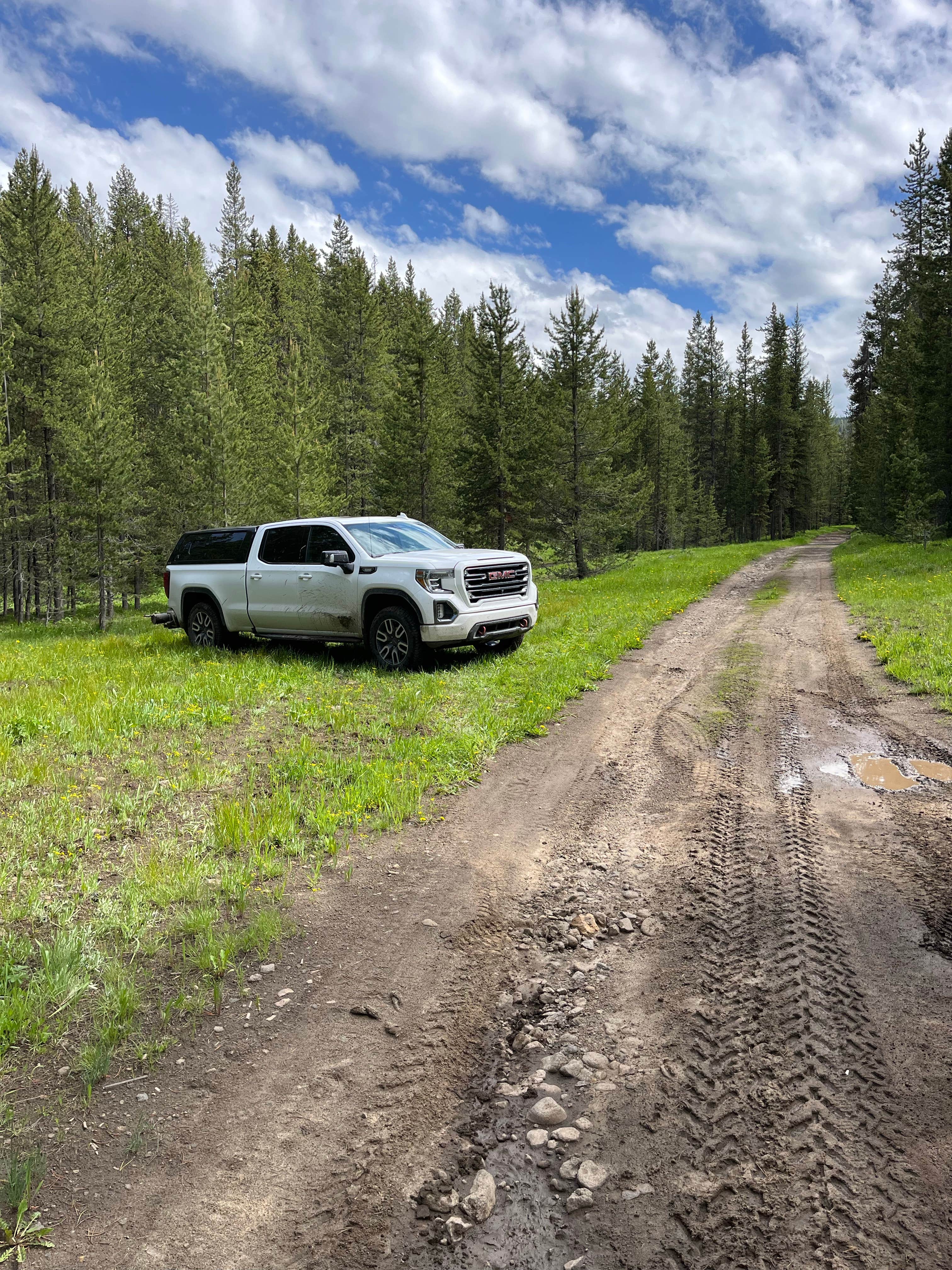Camper-submitted photo at East Fork on Cream Creek near Island Park, ID