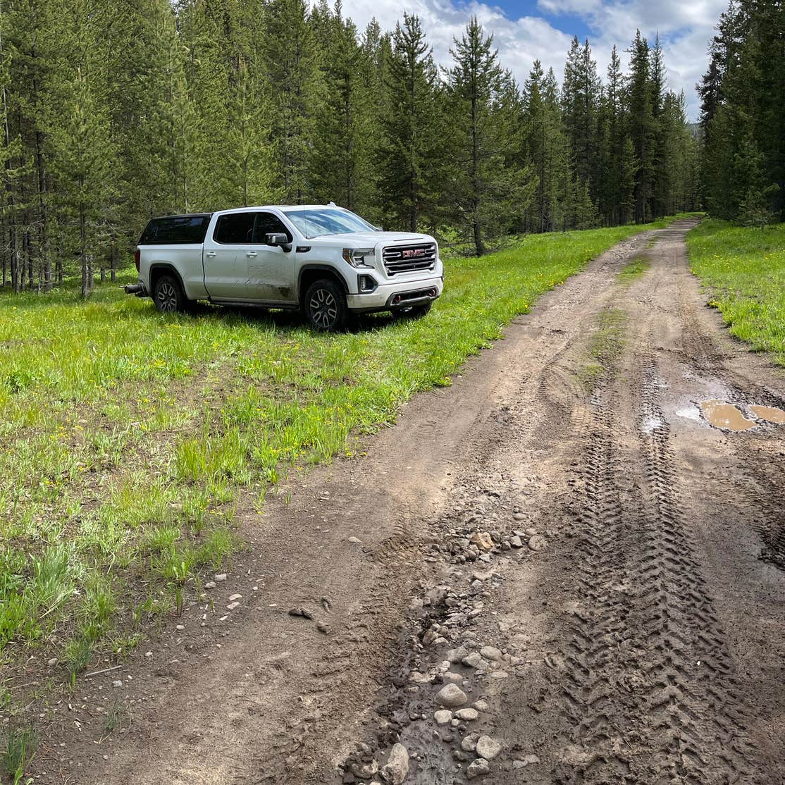 East Fork on Cream Creek Camping | West Yellowstone, MT