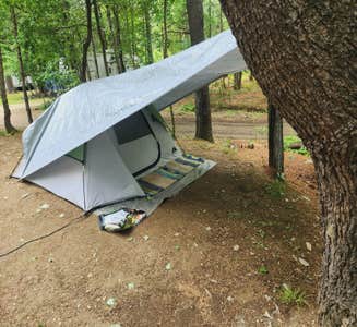 Camper-submitted photo from Camden Hills State Park Campground