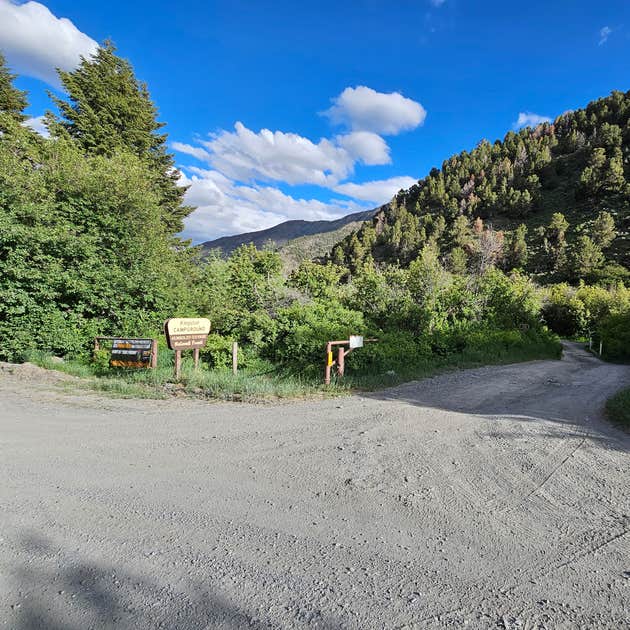 Kingston Camping The Dyrt