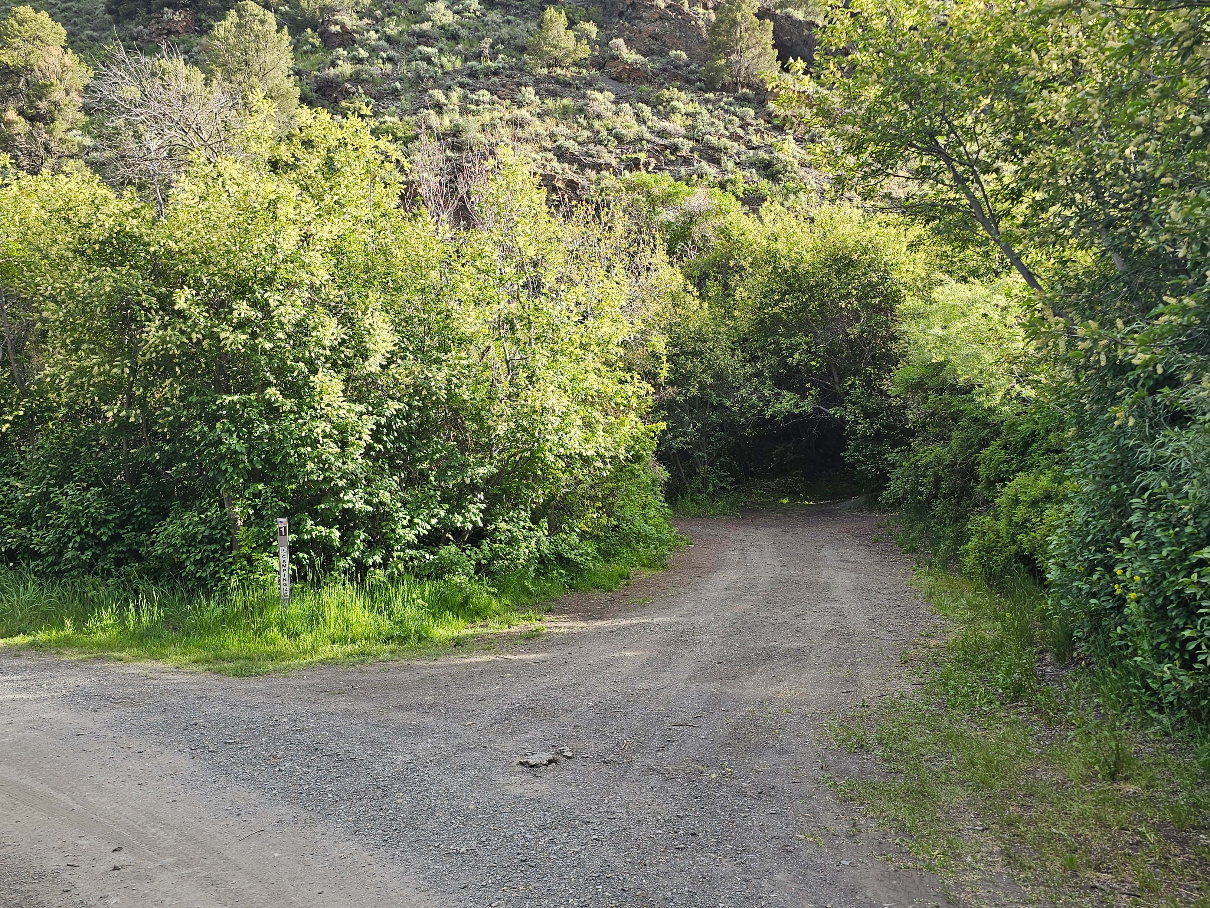 Camper-submitted photo at Kingston near Austin, NV