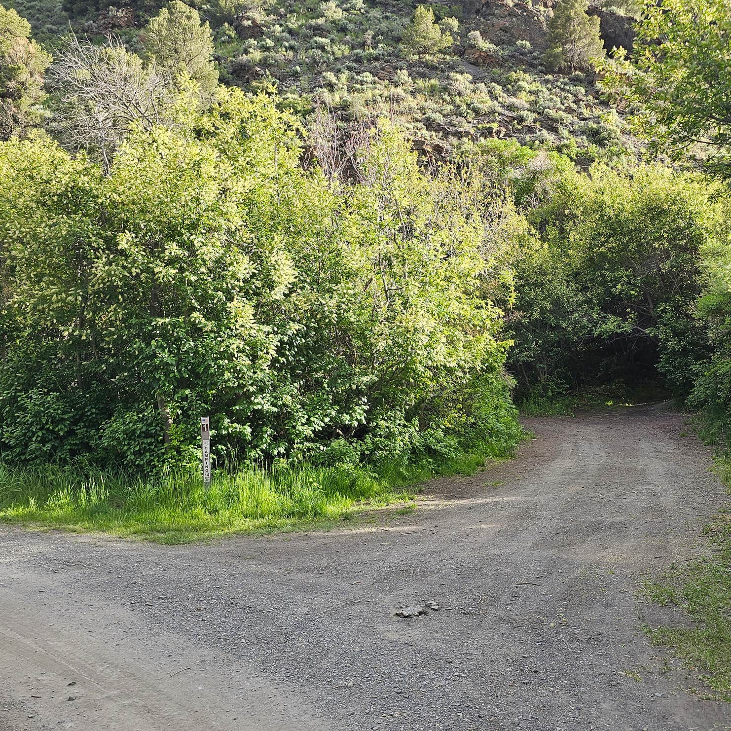 Kingston Camping The Dyrt