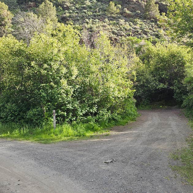 Kingston Camping Austin, NV