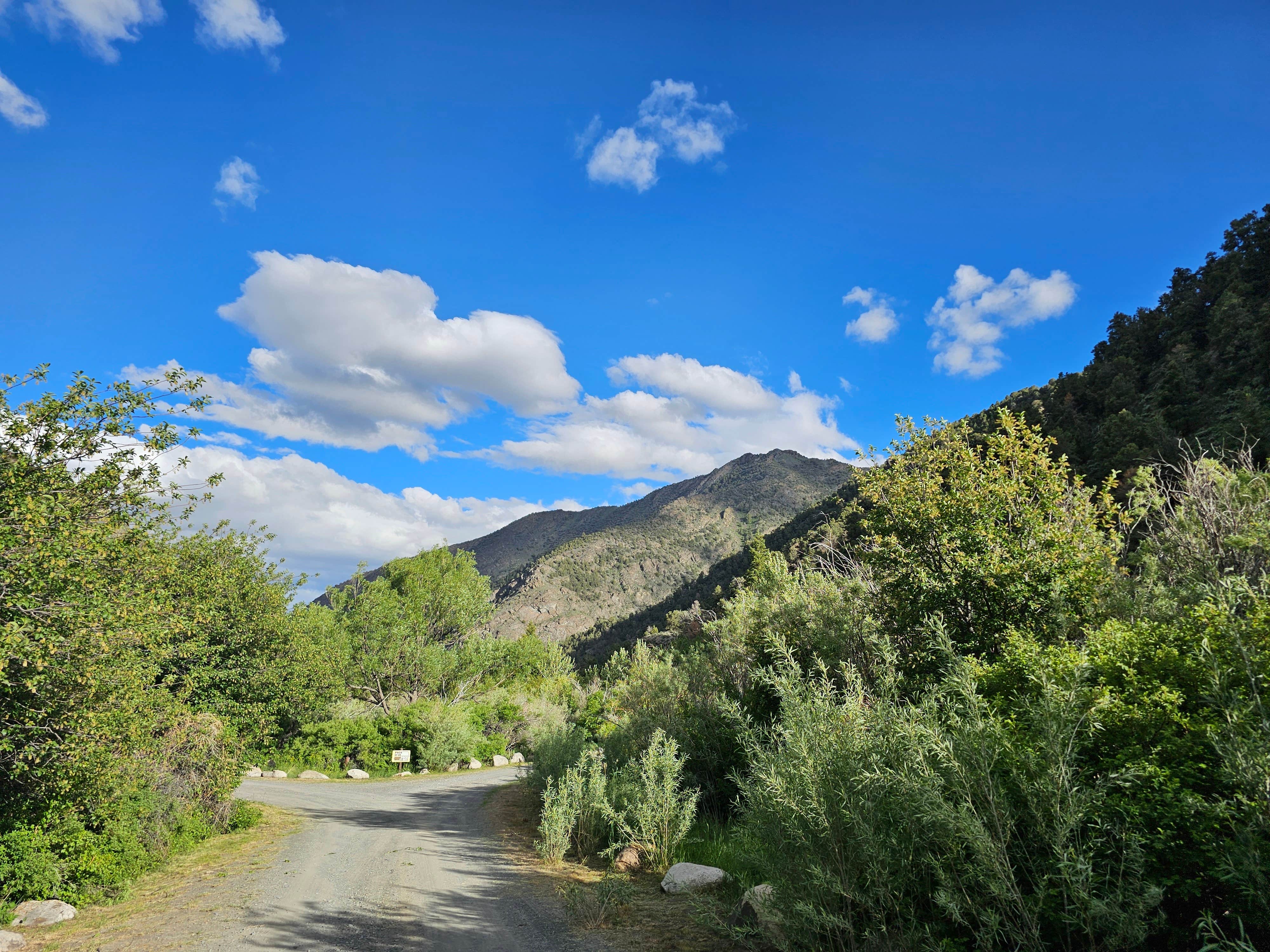 Camper-submitted photo at Kingston near Austin, NV
