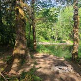 Review photo of South Fork Calawah River by Audrey R., June 21, 2023