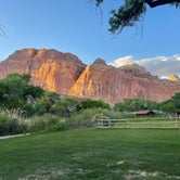 Review photo of Fruita Campground — Capitol Reef National Park by Cass W., June 21, 2023