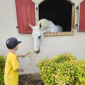 Review photo of Mane Gait Equestrian Center by John Z., June 20, 2023