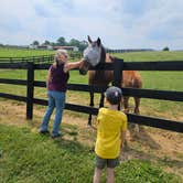 Review photo of Mane Gait Equestrian Center by John Z., June 20, 2023