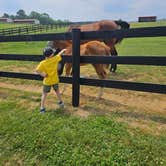 Review photo of Mane Gait Equestrian Center by John Z., June 20, 2023