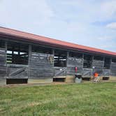 Review photo of Mane Gait Equestrian Center by John Z., June 20, 2023