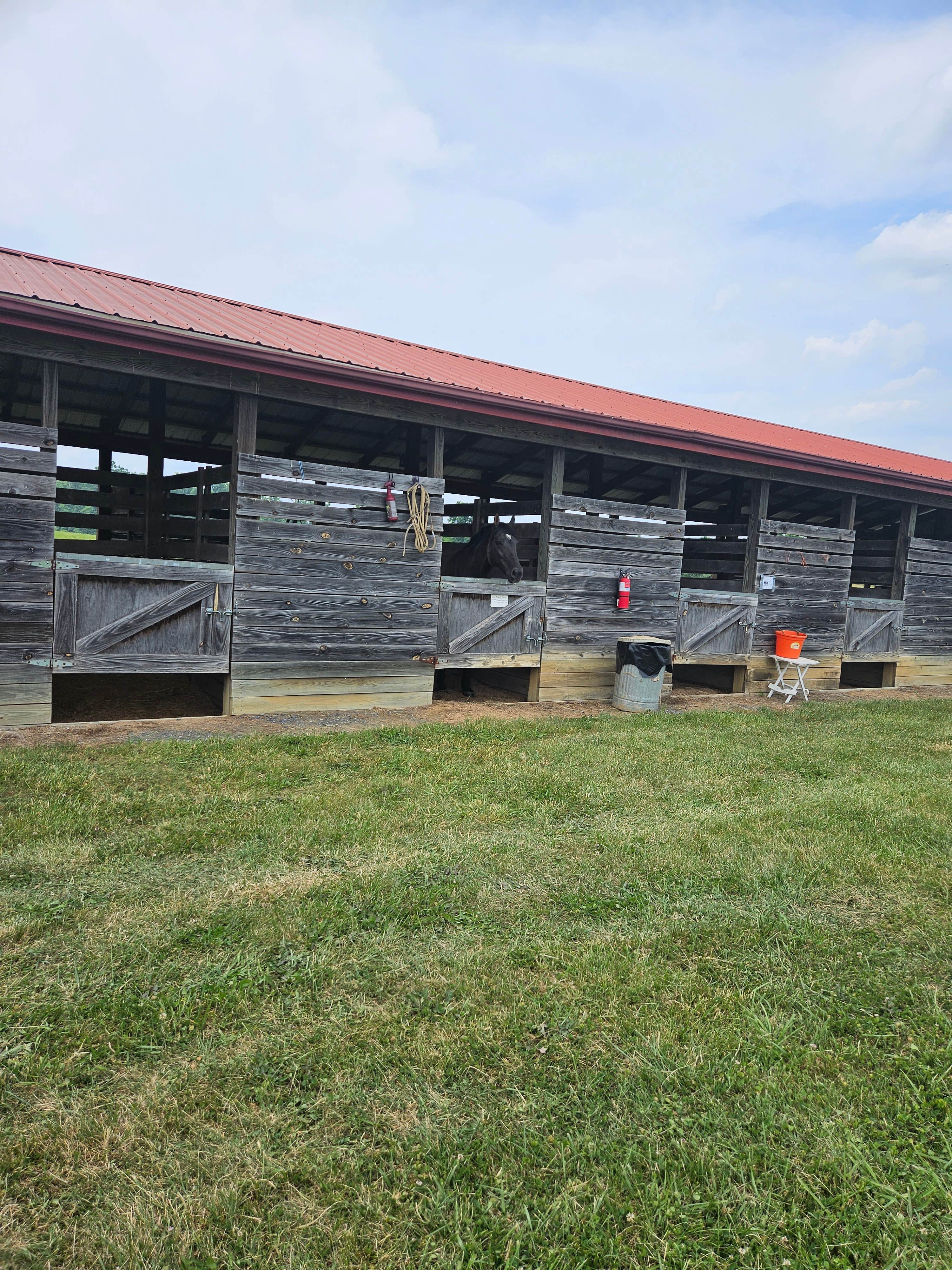 Camper submitted image from Mane Gait Equestrian Center - 2
