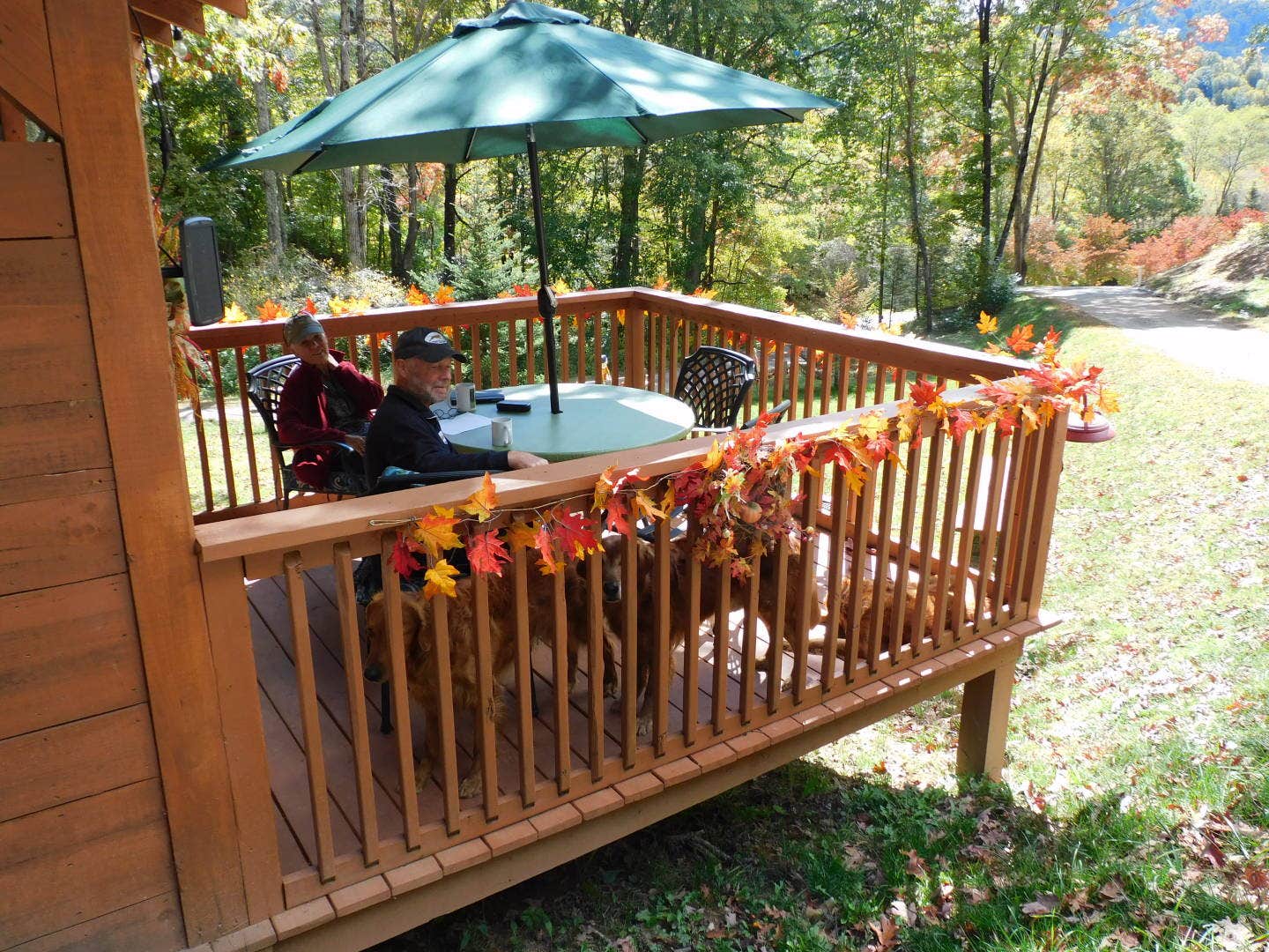 Jim E.'s photo of camping with pets at Deer Springs RV Park near Rabun Gap, GA