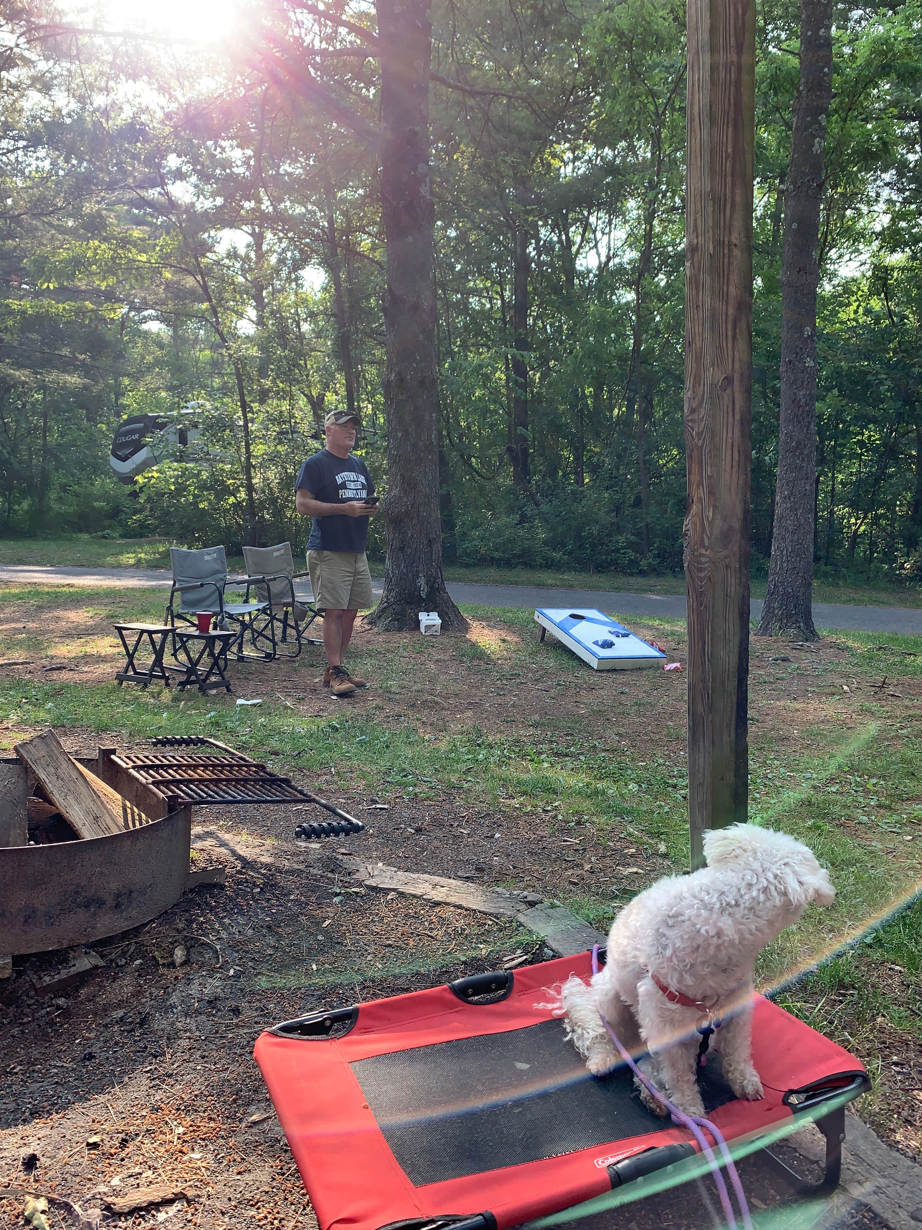 Laure D.'s photo of camping with pets at Rocky Gap State Park Campground near Ellerslie, MD