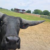 Review photo of Mane Gait Equestrian Center by John Z., June 20, 2023