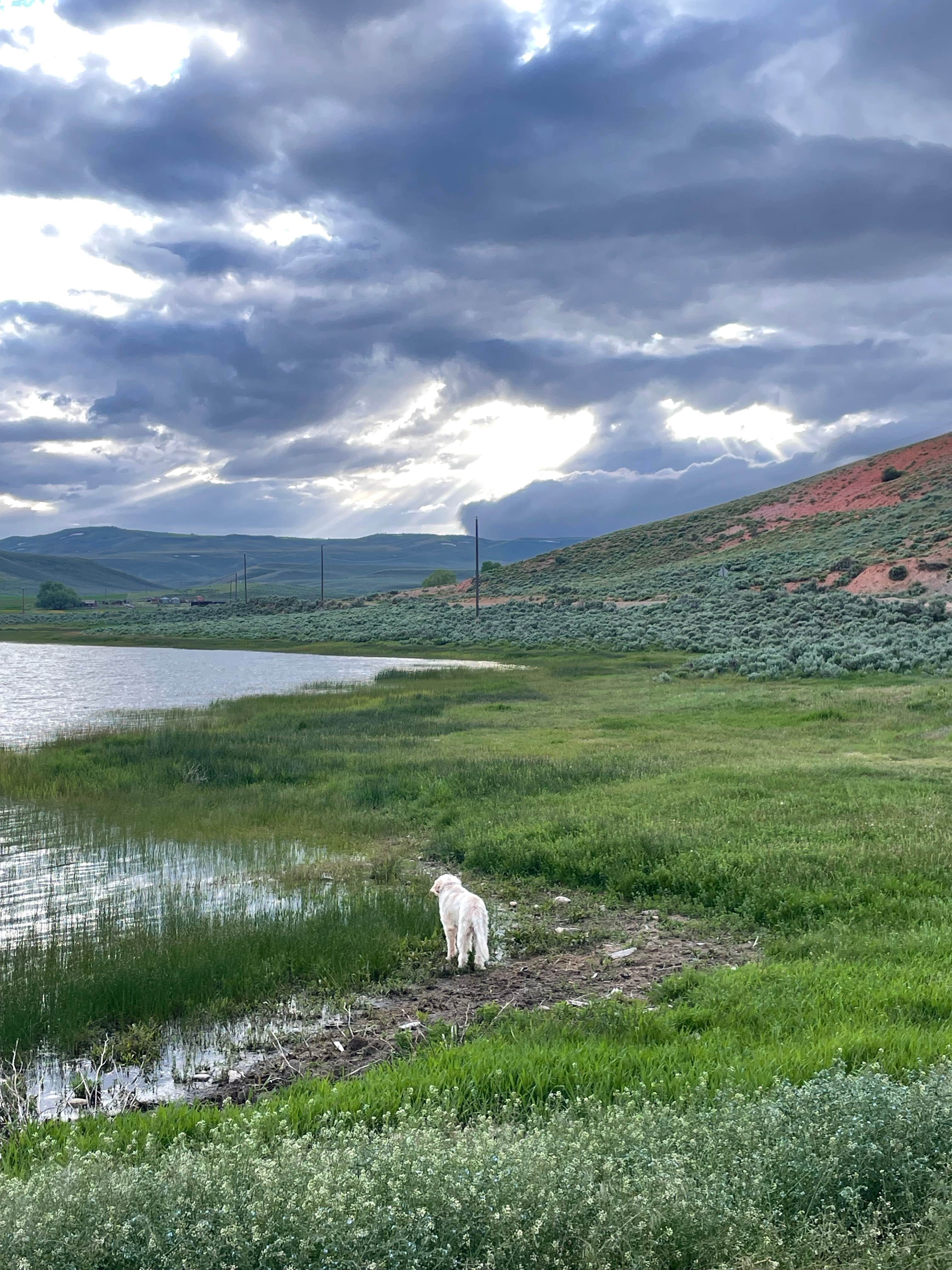 Jennifer D.'s photo of camping with pets at Little Creek Campground near Randolph, UT