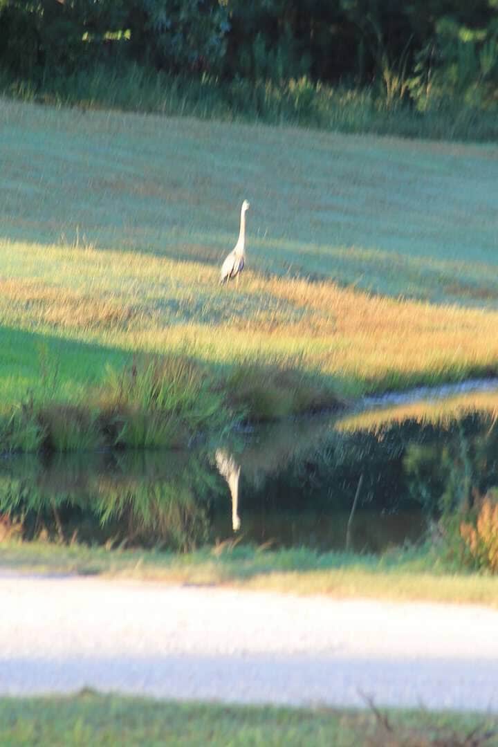 Camper-submitted photo at Natchez Trace RV Park near Fulton, MS