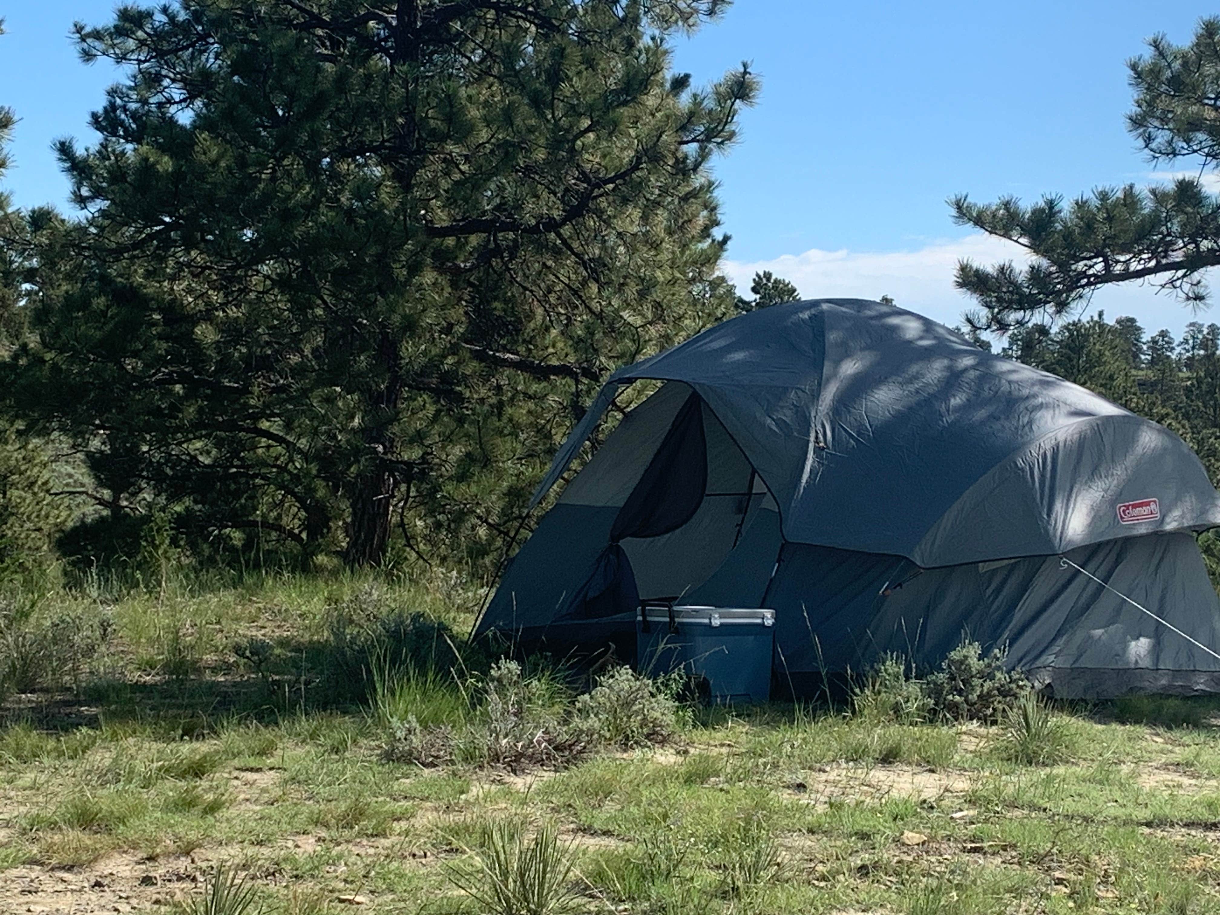 Dav's photo at Acton Recreation Area near Laurel, MT