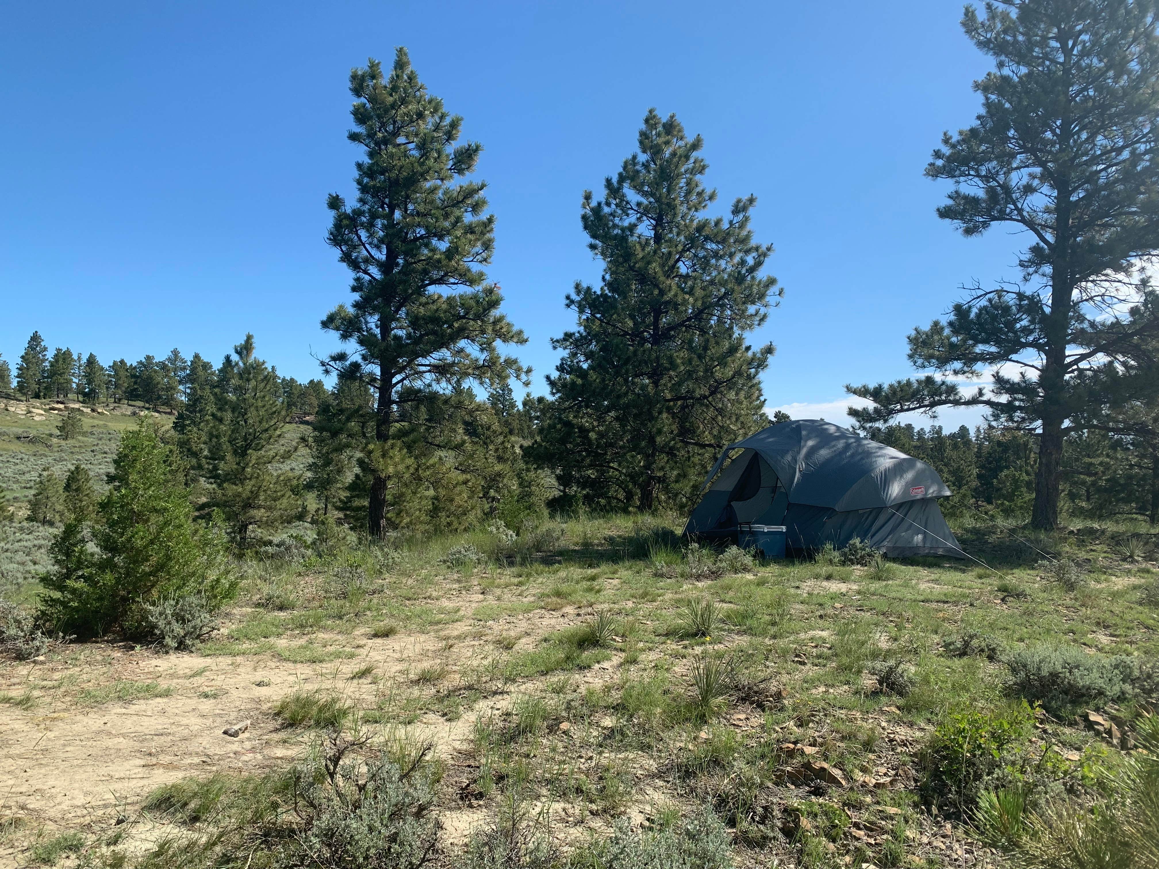 Camper-submitted photo at Acton Recreation Area near Shawmut, MT