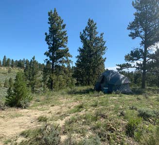 Camper-submitted photo from Acton Recreation Area