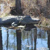 Review photo of Laura S Walker State Park Campground by Joel R., October 17, 2018