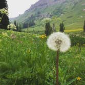 Review photo of Gros Ventre Campground — Grand Teton National Park by Sam M., October 18, 2018