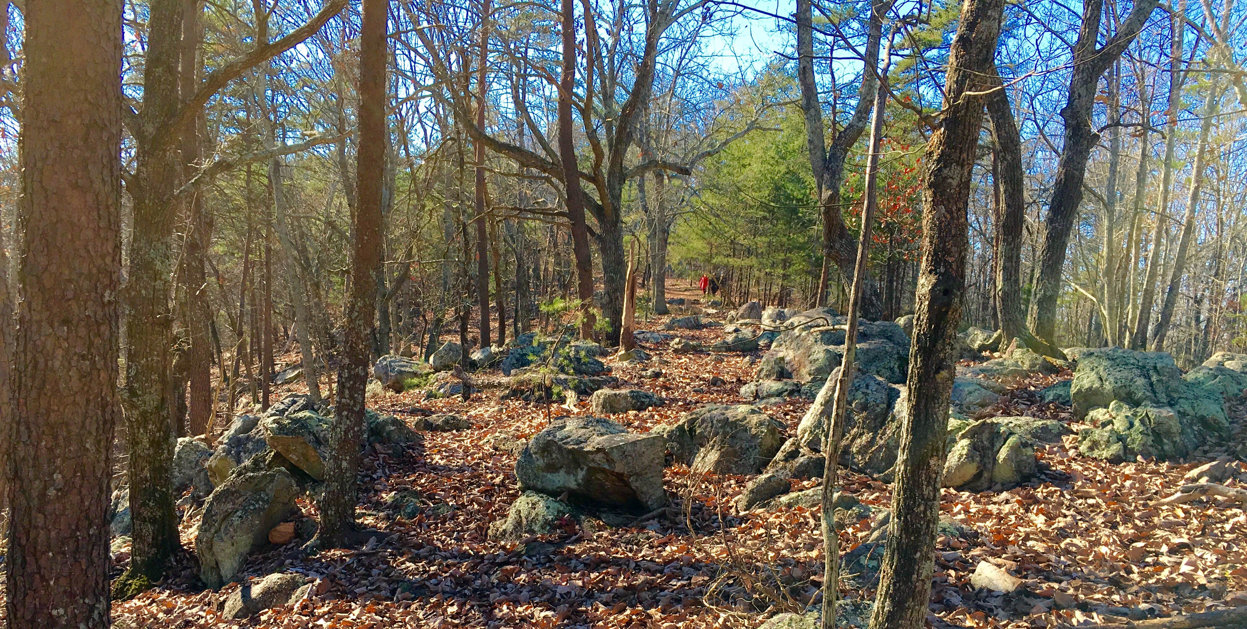 Camper-submitted photo at Crowders Mountain State Park Campground near Boiling Springs, NC