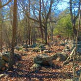 Review photo of Crowders Mountain State Park Campground by Leslie R., August 21, 2016