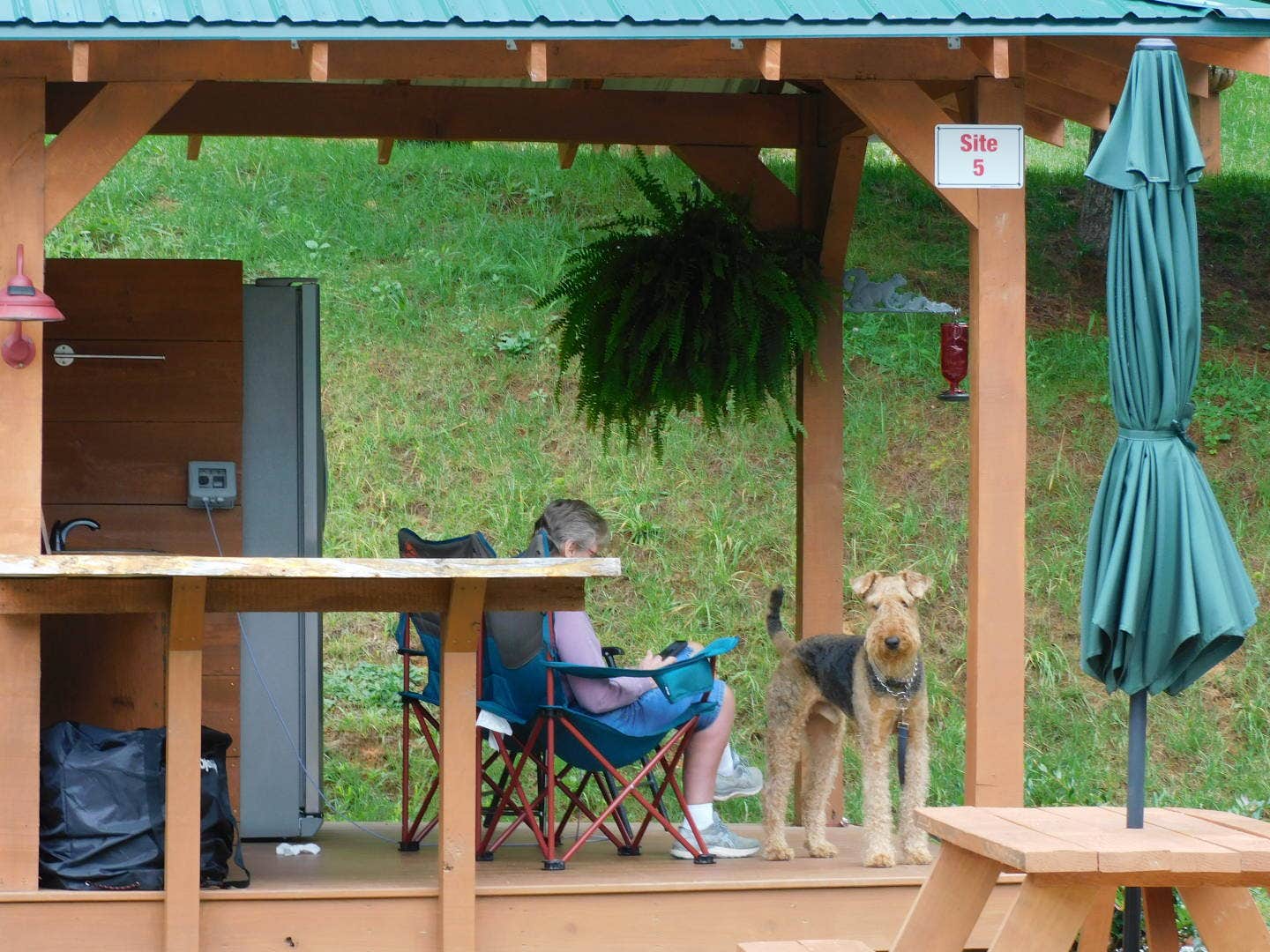 Jim E.'s photo of camping with pets at Deer Springs RV Park near Franklin, NC