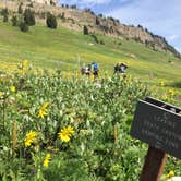 Review photo of Gros Ventre Campground — Grand Teton National Park by Sam M., October 18, 2018