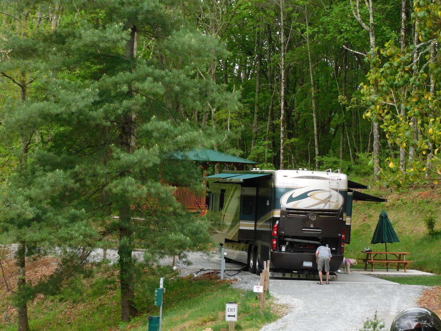 Jim E.'s photo of camping with pets at Deer Springs RV Park near Rabun Gap, GA