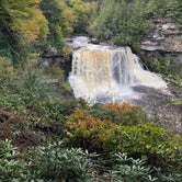 Review photo of Blackwater Falls State Park Campground by Lee D., October 18, 2018