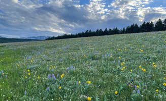 Janelle K.'s photo of a dispersed camping area at Circle Road Dispersed Camping near Buffalo, WY
