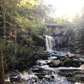 Review photo of Blackwater Falls State Park Campground by Lee D., October 18, 2018
