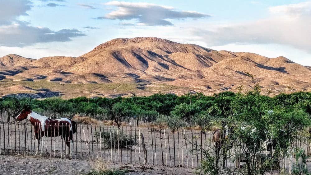 Camper-submitted photo at Southern Arizona Guest Ranch near St. David, AZ