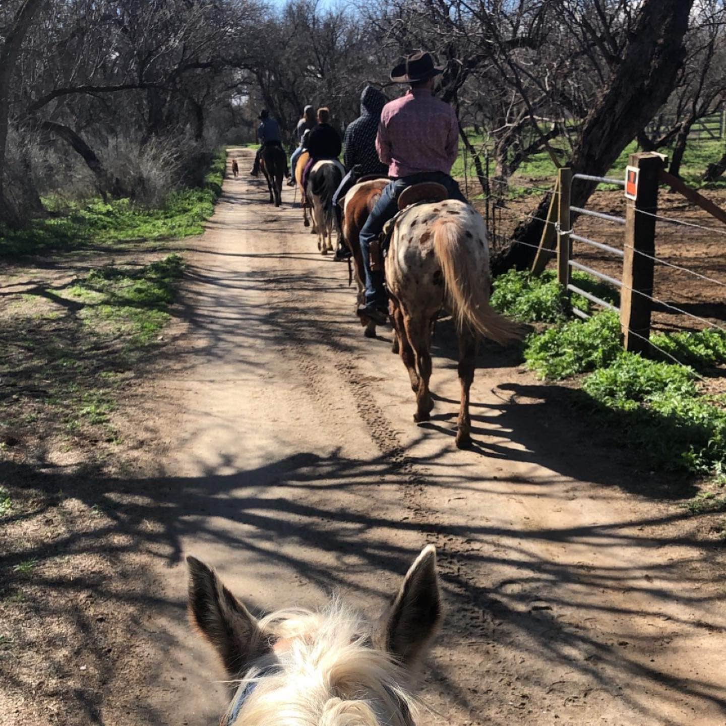 Camper-submitted photo at Southern Arizona Guest Ranch near St. David, AZ