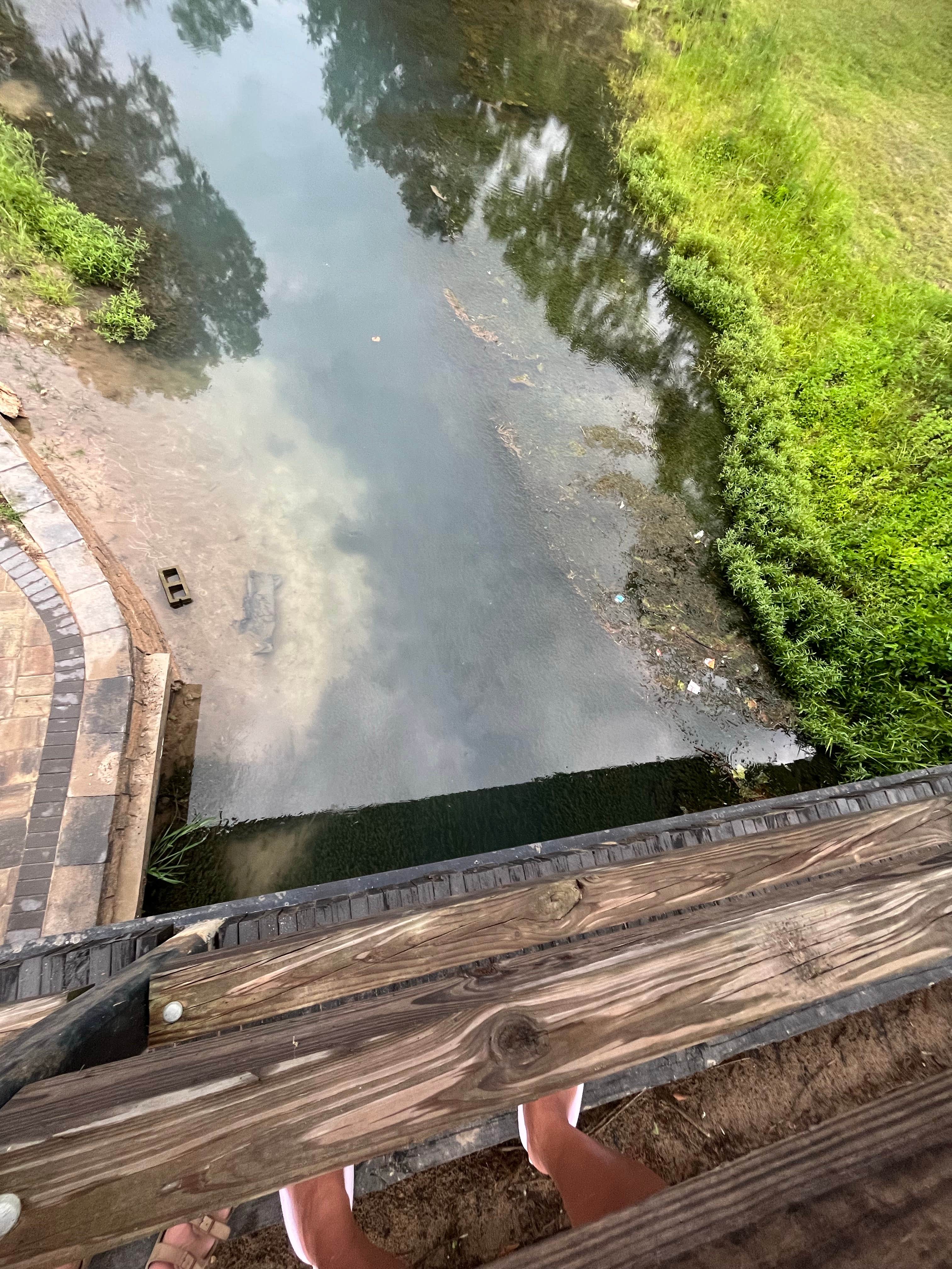 Camper-submitted photo at Vortex Spring near Freeport, FL