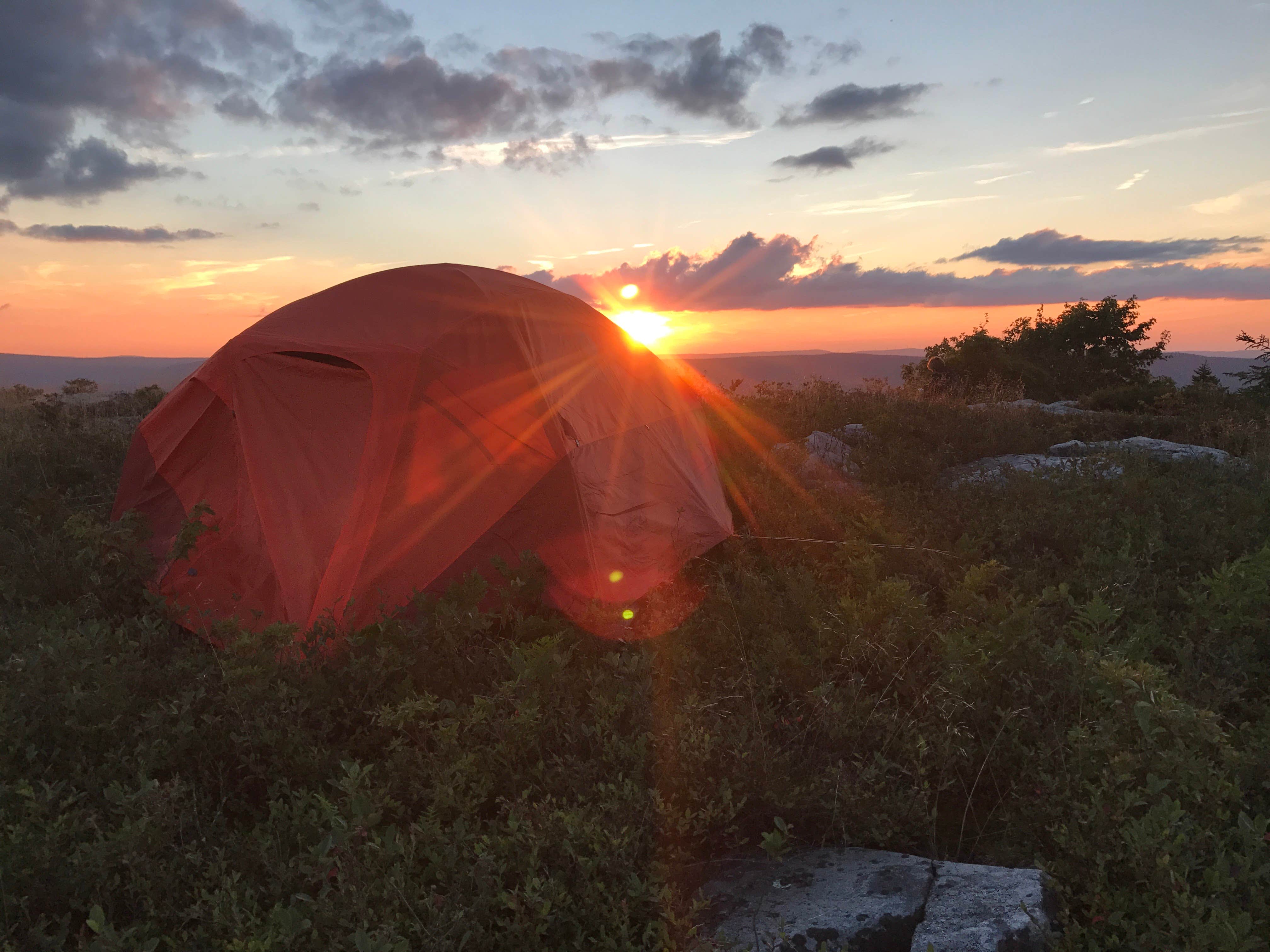 Camper submitted image from Dolly Sods Backcountry - 2