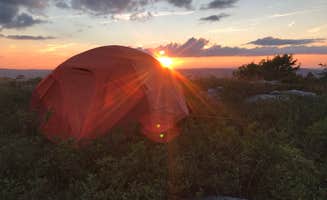 Hannah V.'s photo at Dolly Sods Backcountry near Maysville, WV