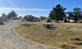 Camping near San Carporforo Creek Backcountry Primitive Campground: Washburn Primitive Campground — Hearst San Simeon State Park, San Simeon, California
