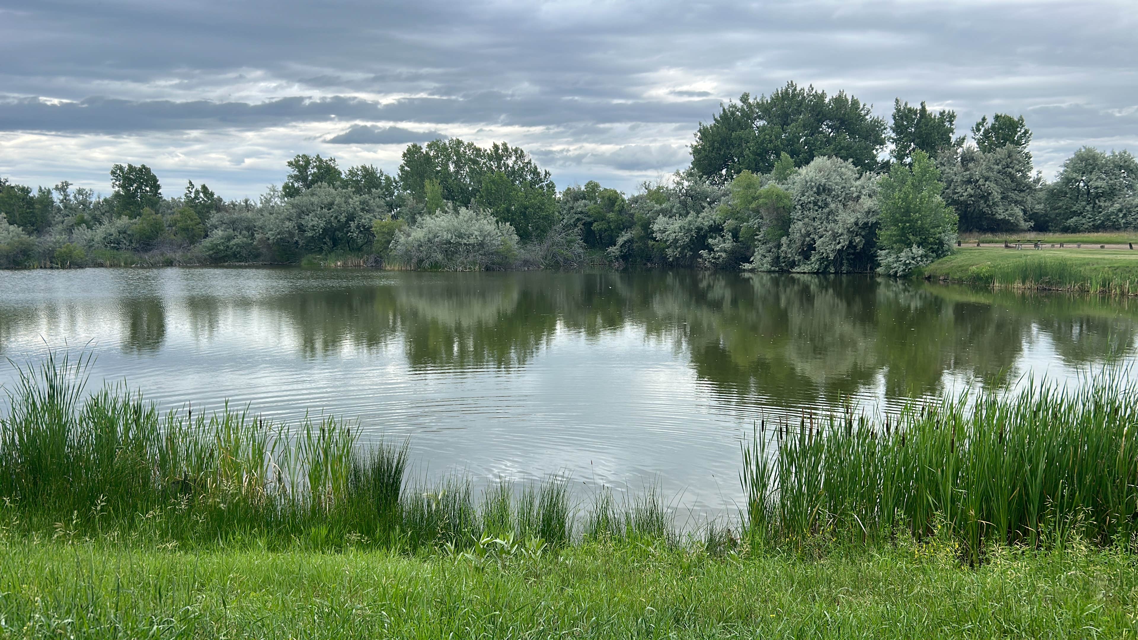 Camper submitted image from Far West Fishing Access Site - 3