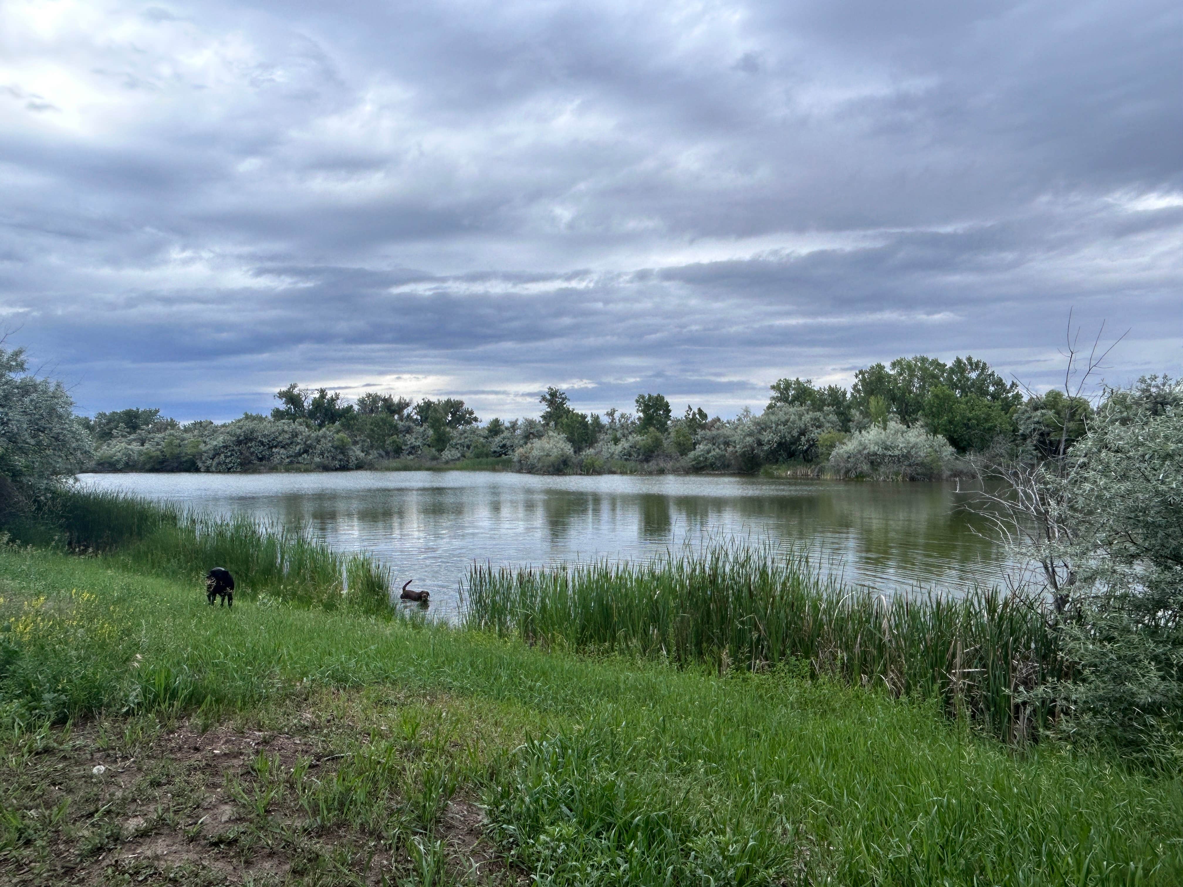 Camper submitted image from Far West Fishing Access Site - 4